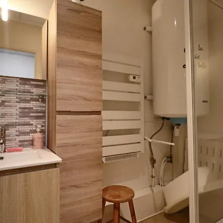 Appartement Le Metrocosy - Le Metropole La Bourboule